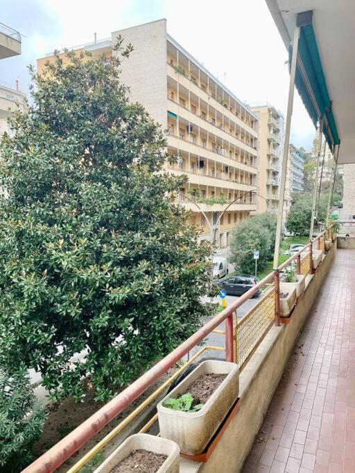 Apartment A 2 Passi Dal Lungo Mare Ampio